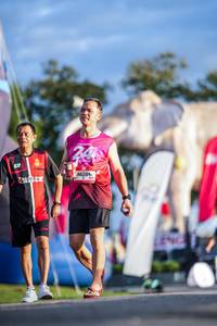 BIB: 
                            <button type="button" onclick="openModal(26541294)" class="btn btn-primary btn-sm float-right btn-popup" data-toggle="modal" data-target=".modal-high-quality">
                        <i class="fas fa-shopping-cart"></i> Add to Cart
                    </button>
                                            <button type="button" onclick="isThisMe(26541294, true)" class="btn btn-success btn-sm float-right btn-popup btn-isme hidden" data-toggle="tooltip" data-placement="bottom" title="นี่คือรูปของคุณใช่ไหม คลิกที่นี่เพื่อเอาเข้าอัลบั้ม">
                        <i class="fas fa-plus"></i> Add to album
                    </button>
                    <button type="button" onclick="isThisMe(26541294, false)" class="btn btn-warning btn-sm float-right btn-popup btn-isnotme hidden">
                        <i class="fas fa-ban"></i> Remove from album
                    </button>